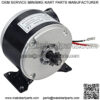 24 Volt 250 Watt Motor for The Razor E300, MX350 (Ver 9+), MX400, and Pocket Mod