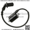 Ignition Coil w/ Spark Plug Boot & Wire For Polaris RZR 170 2015-2021 0455029 (For: Polaris)